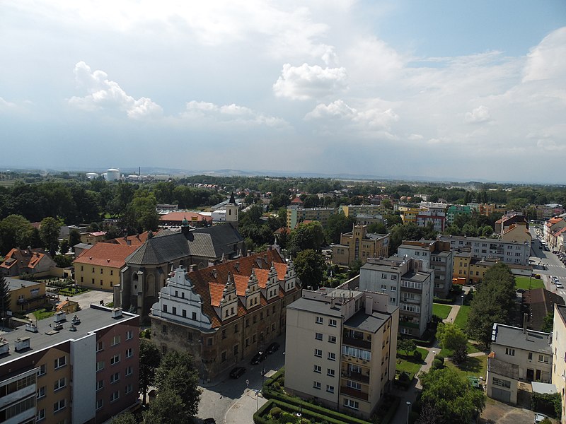 Wsparcie Zakładu Pogrzebowego Olimp Strzelin